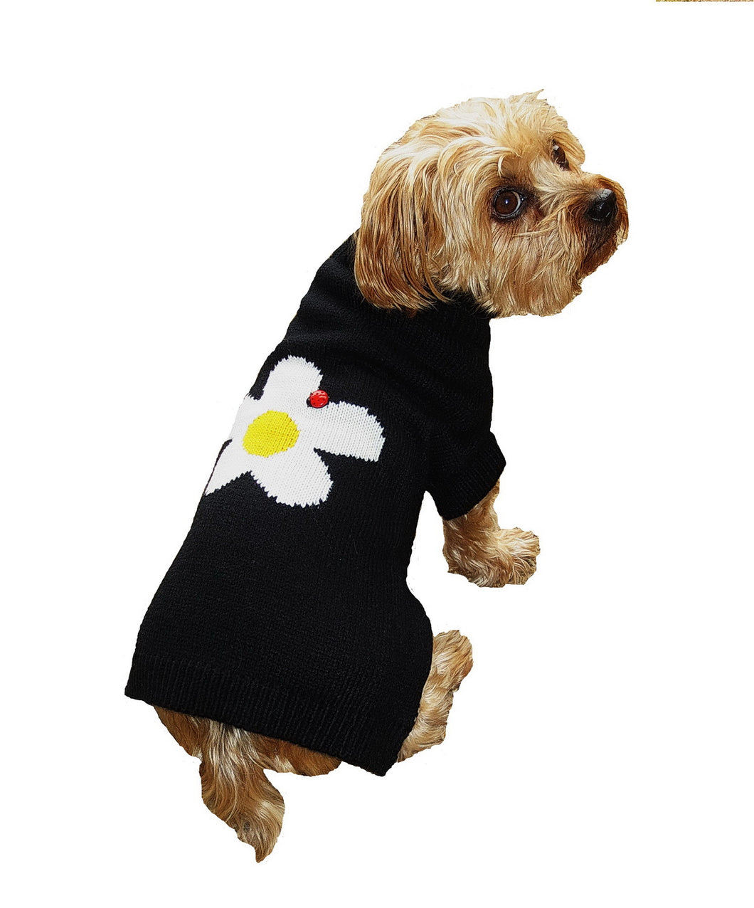 dog-wears-daisy-sweater-with-ladybug
