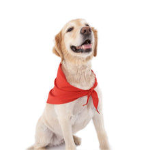 Load image into Gallery viewer, Dog wears red insect repellent dog bandana
