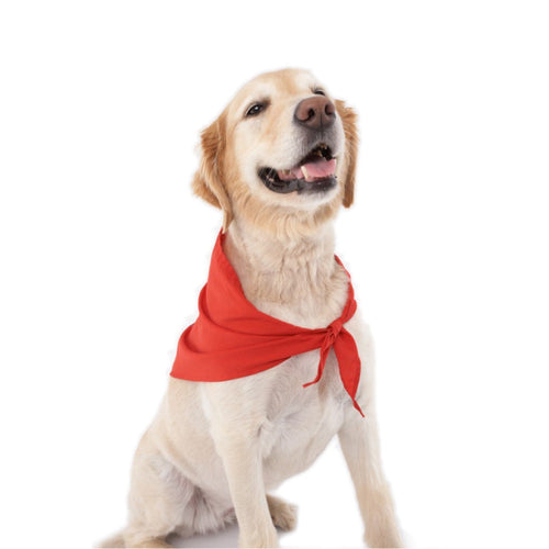 Dog wears red insect repellent dog bandana