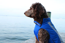 Load image into Gallery viewer, Dog wears Saginaw Bay Dog Fleece in Blue
