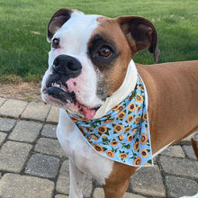 Load image into Gallery viewer, Boxer wears sunflower dog bandana
