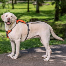 Load image into Gallery viewer, dog-wears-walk-along-outdoor-harness
