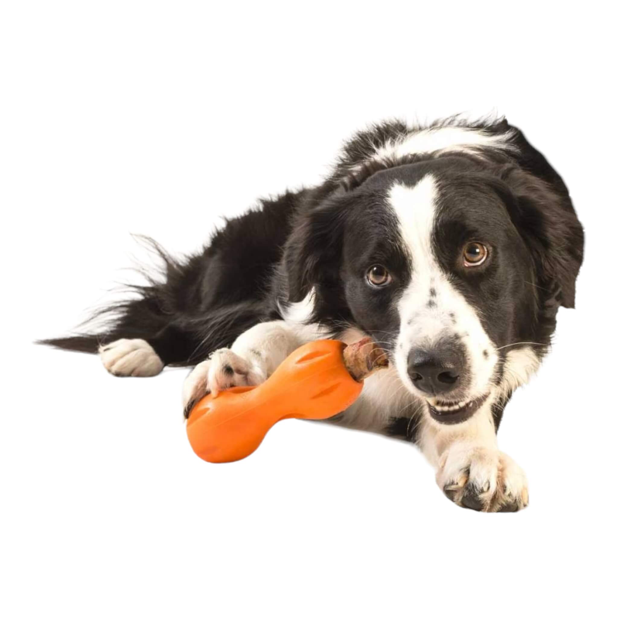 Interactive Chew Toy for Dogs!  Qwizl Treat Toy - Tangerine