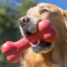 Load image into Gallery viewer, Dogs Love the KONG Goodie Dog Bone Chew Toy
