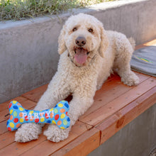 Load image into Gallery viewer, Dogs love Huxley &amp; Kent&#39;s Party Time Bone Dog Toys
