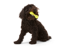 Load image into Gallery viewer, Dogs love to chew on the Hurley Dog Bone
