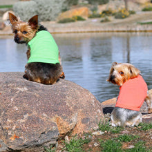 Cargar imagen en el visor de la galería, Dogs wear Cotton Dog Tanks by river
