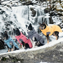 Load image into Gallery viewer, Dogs Wearing Hurtta Expedition Dog Parkas on the Winter Slopes

