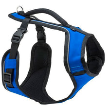 Load image into Gallery viewer, easy-sport-dog-harness-blue
