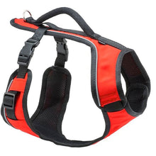 Load image into Gallery viewer, easy-sport-dog-harness-red
