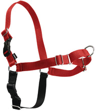 Load image into Gallery viewer, easy-walk-harness-red-and-black
