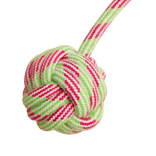 Load image into Gallery viewer, Floss N&#39; Fun Rope Dog Toy in Pink and Green
