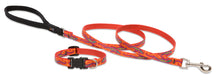 Cargar imagen en el visor de la galería, LupinePet® Go Go Gecko Adjustable Dog Collar and Leash
