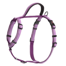 Load image into Gallery viewer, Halti Walking Dog Harness in Purple
