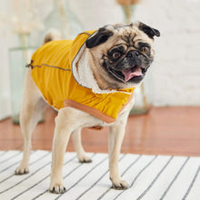 Cargar imagen en el visor de la galería, Happy Pug Wears the Insulated Dog Raincoat in Yellow
