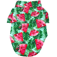 Cargar imagen en el visor de la galería, Juicy Watermelon Hawaiian Camp Shirt for Dogs
