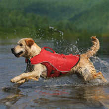 Load image into Gallery viewer, dog-models-surf-n-turf-dog-coat-in-water
