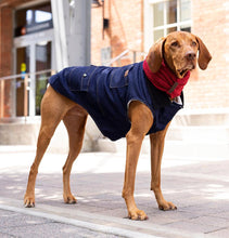 Load image into Gallery viewer, large-breed-dog-wears-the-worker-jacket-blue-denim
