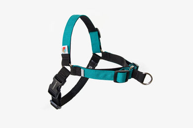 Linden No-Pull Dog Harness in turquoise