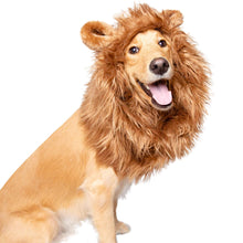 Cargar imagen en el visor de la galería, Lion Mane Costume for Medium and Large-Sized Dogs
