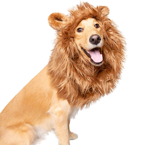Lion Mane Costume for Medium and Large-Sized Dogs