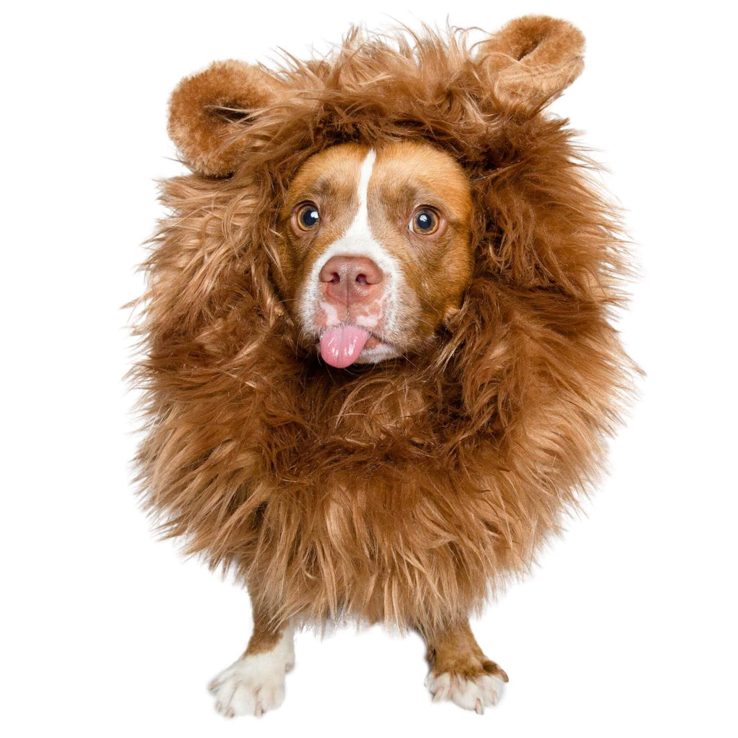 Lion Mane Costume for Small Dogs and Cats