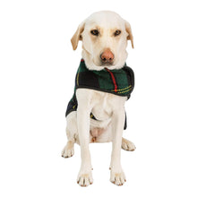 Cargar imagen en el visor de la galería, Looking at the Navy Tartan Plaid Blanket Dog Coat from the front
