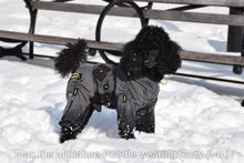 Load image into Gallery viewer, Max the miniature poodle wears the Cozy Full Body Dog Suit
