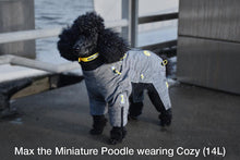 Load image into Gallery viewer, Miniature Poodle models Zippy Dynamics Cozy Full Body Dog Suit
