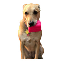 Load image into Gallery viewer, Our dog loves his Retro Van Dog Chew Toy
