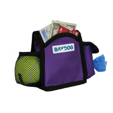 Load image into Gallery viewer, Pack-N-Go Bag in Purple has ample space for credit cards and money
