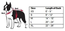 Load image into Gallery viewer, Pet&#39;s First Company Sizing Chart
