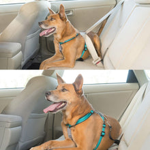 Load image into Gallery viewer, petsafe-3-in-1-harness-used-in-vehicle
