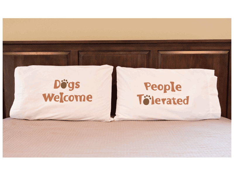Pillow Case Set - Dogs Welcome People Tolerated