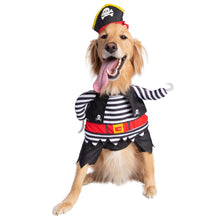 Load image into Gallery viewer, Golden Retriever looks dashing in the Pirate Dog Costume
