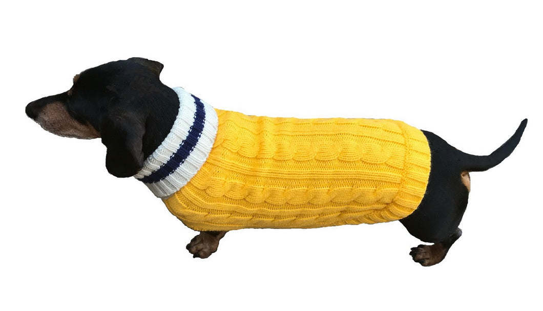 Dachshund shows off his new Preppy Pup Sweater in Yellow and Navy