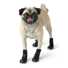 Load image into Gallery viewer, Pug Models Elasto-Fit Dog Boots
