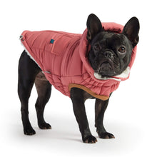 Load image into Gallery viewer, Pug Models Super Puff Dog Parka in Pink
