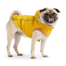 Load image into Gallery viewer, Pug Models the Insulated Dog Raincoat in Yellow

