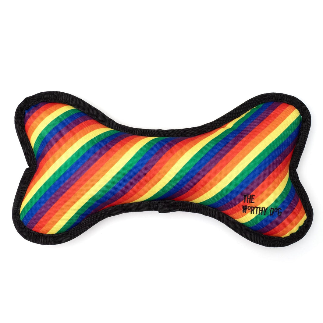 Rainbow Bone Plush Dog Toy