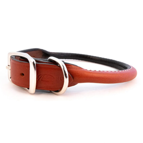 Auburn Leathercrafters Rolled Leather Dog Collar in Tan