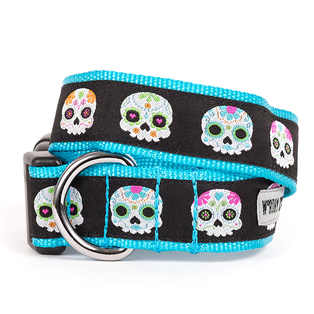 skeletons-dog-collar