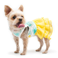 Load image into Gallery viewer, Small breed dog models Leafy Dress by DOGO Pet Fashions
