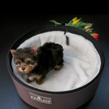 Load image into Gallery viewer, Sleepypod Mobile Pet Bed and Carrier
