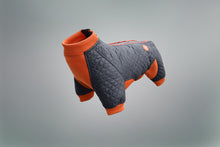 Load image into Gallery viewer, springy-protective-dog-coat
