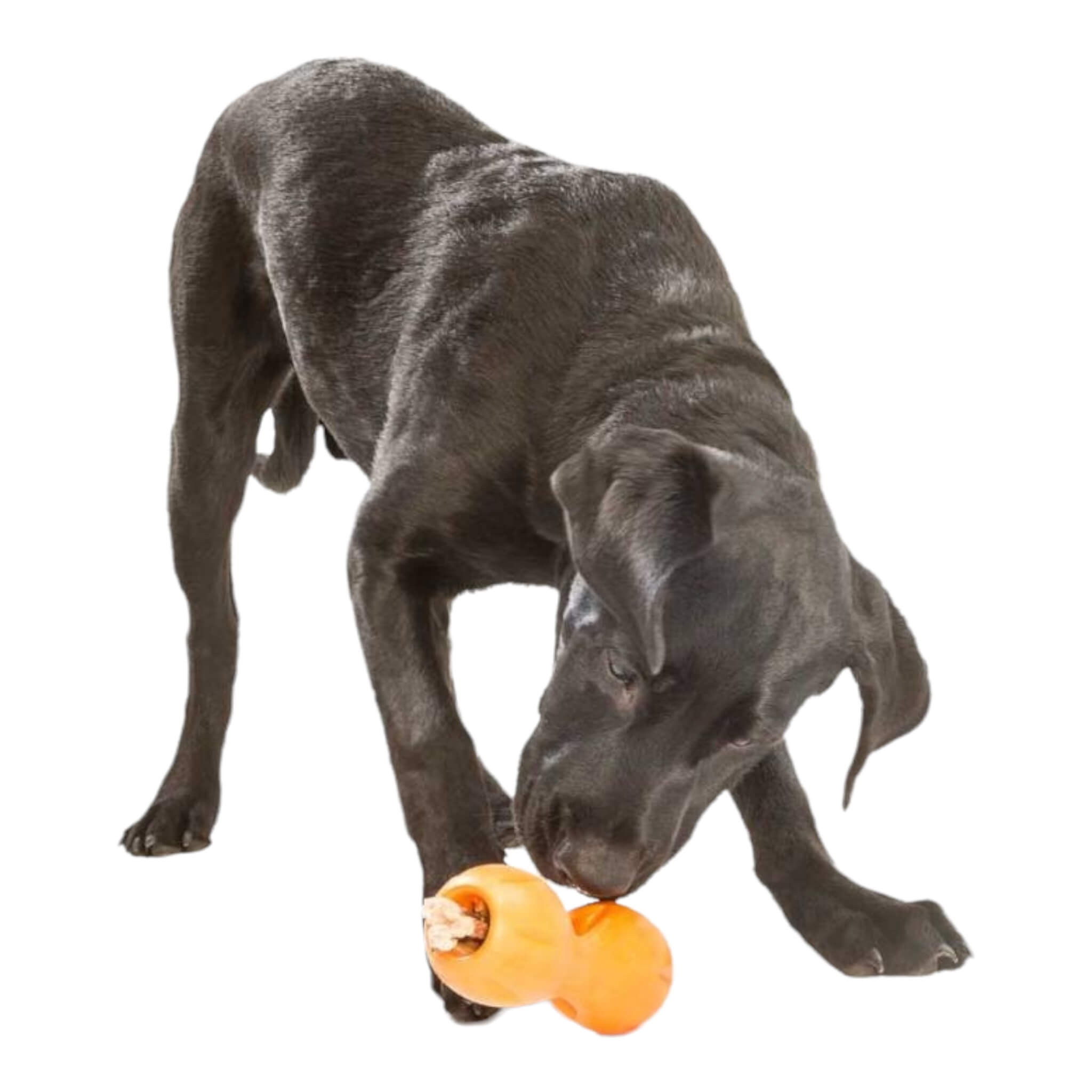 West Paw Design Zogoflex Toppl Dog Treat Puzzle Toy — Happy Dog Wellness