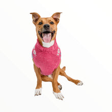 Load image into Gallery viewer, Tan dog wears Alpaca Rose Fair Isle Dog Sweater
