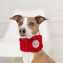 Cargar imagen en el visor de la galería, The Chalet Tube Scarf for Dogs Keeps Cold Drafts at Bay
