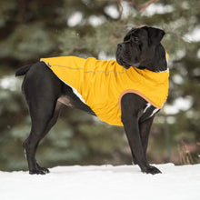 Load image into Gallery viewer, The Insulated Dog Raincoat is Perfect for Large Breed Dogs too
