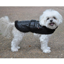 Load image into Gallery viewer, top-dog-flight-harness-coat-side-view

